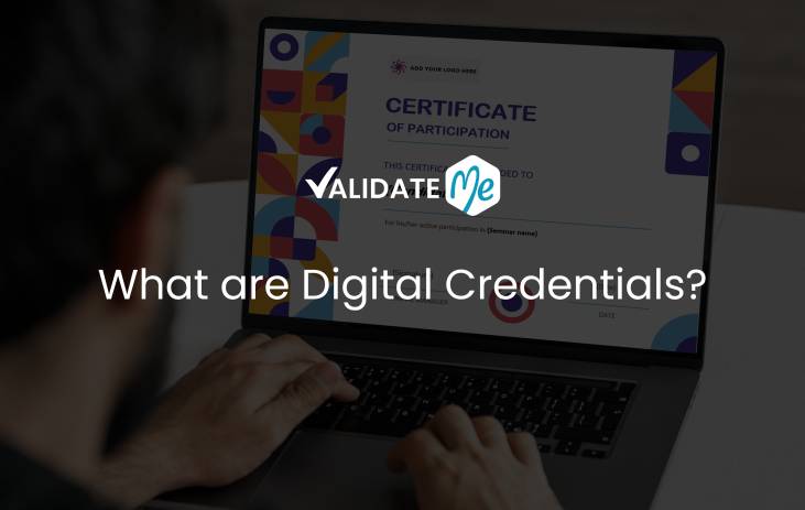 What are Digital Credentials
